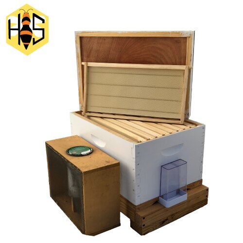 Bee Hive Starter Kit