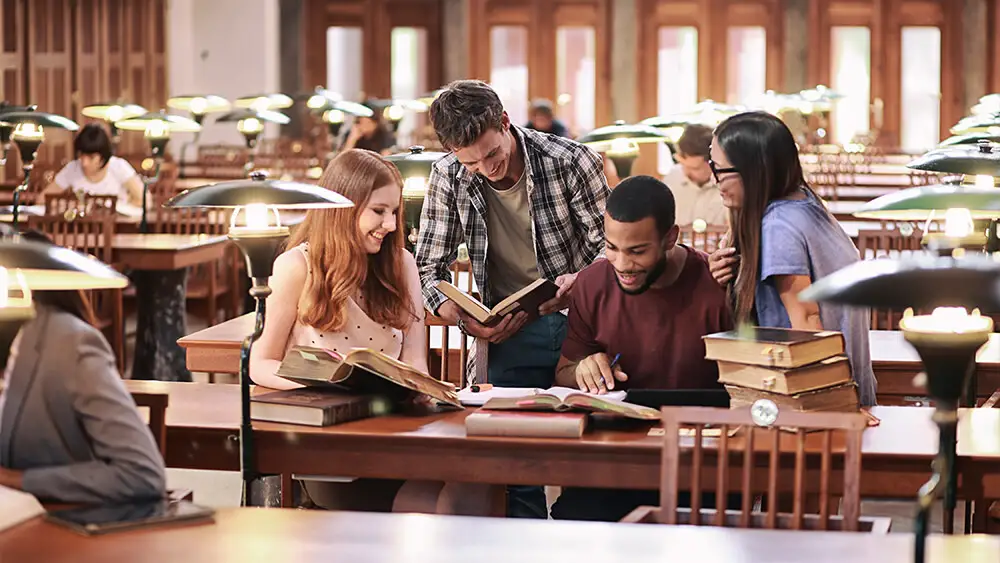 management assignment help